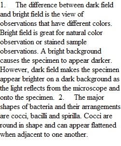 Bacterial Structures